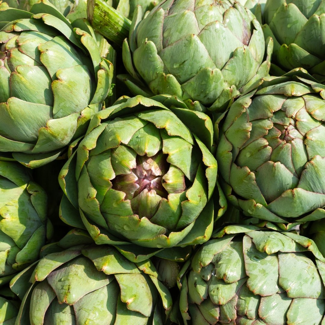Alcachofa de Navarra
